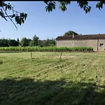 Campsite Feuille - Glamping On A Vineyard - Wooden Savigne