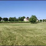 Feuille - Glamping On A Vineyard - Wooden * Savigne