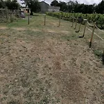 Campsite Feuille - Glamping On A Vineyard - Wooden