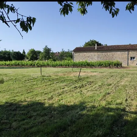 Campsite Feuille - Glamping On A Vineyard - Wooden Savigne