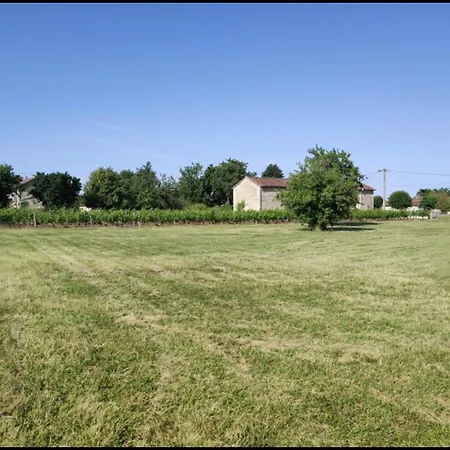 Feuille - Glamping On A Vineyard - Wooden * Savigne
