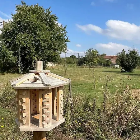 Feuille - Glamping On A Vineyard - Wooden Campingplatz