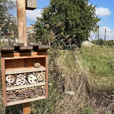Feuille - Glamping On A Vineyard - Wooden *
