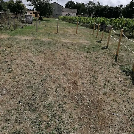 Campingplatz Feuille - Glamping On A Vineyard - Wooden